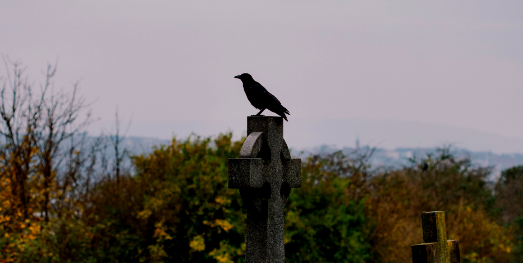 Picture of raven and gravestone