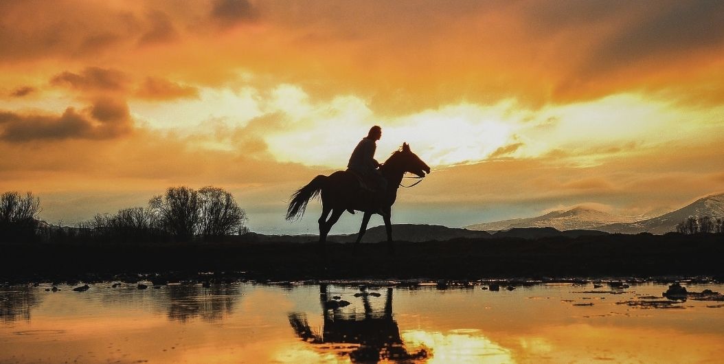 Horse and rider in sunset